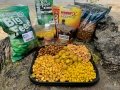 Haldorado Milk Acid Pineapple FermentX Concentrate
